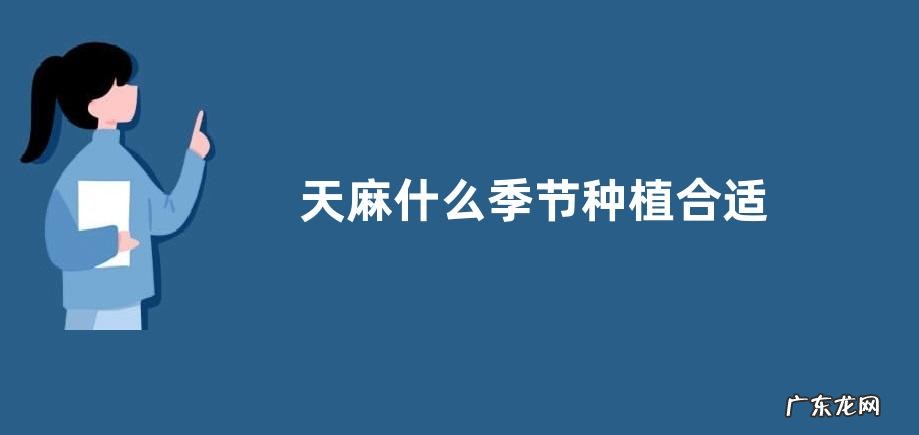 天麻什么季节种植合适