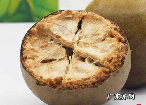 罗汉果什么季节成熟上市