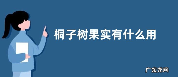 桐子树果实有什么用
