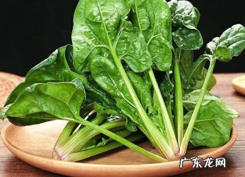 菠菜什么季节成熟上市