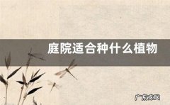 庭院适合种什么植物