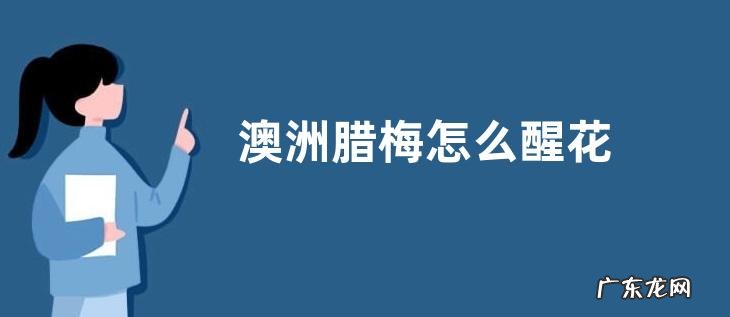 澳洲腊梅怎么醒花