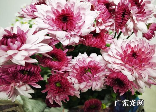 鲜花怎么醒花