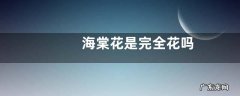 海棠花是完全花吗