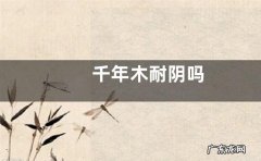 千年木耐阴吗