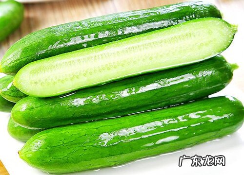 黄瓜可以放多久不坏