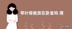 琴叶榕能放在卧室吗 摆放在睡觉房间可以吗
