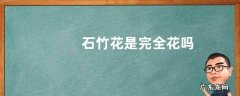石竹花是完全花吗
