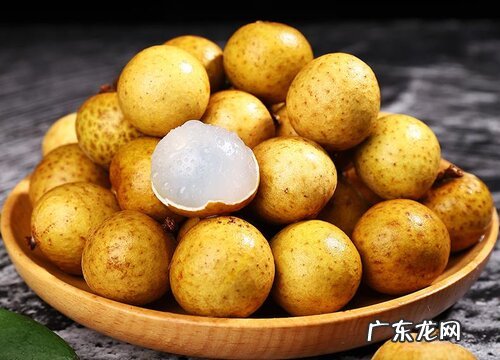 桂圆可以放多久不坏