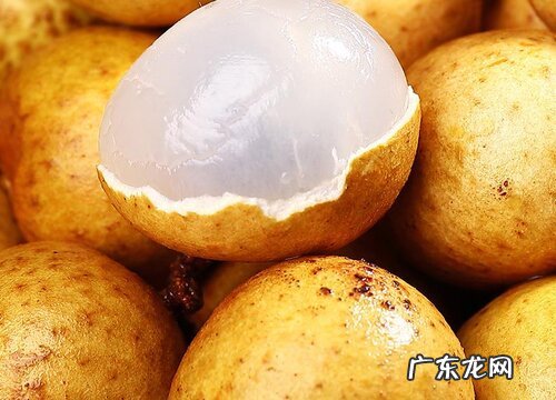 桂圆可以放多久不坏