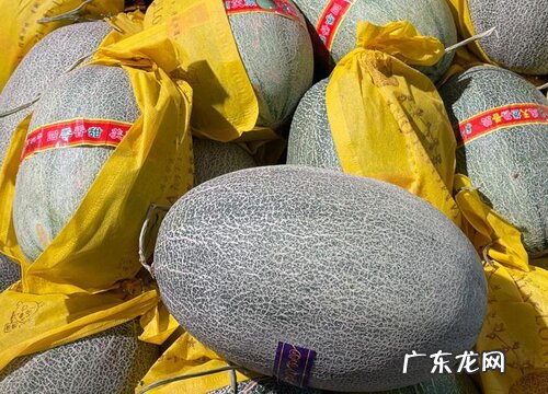 哈密瓜可以放多久不坏