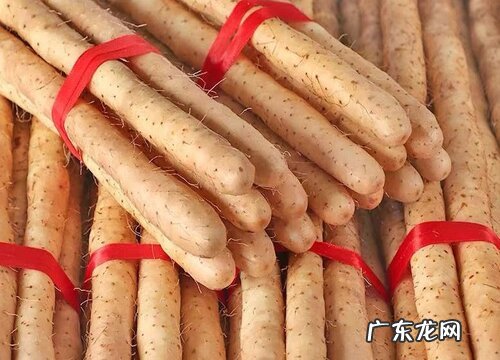 山药可以放多久不坏