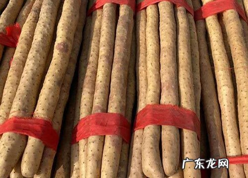 山药可以放多久不坏