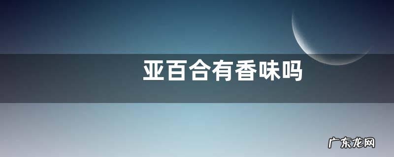 亚百合有香味吗