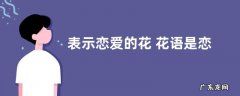 表示恋爱的花 花语是恋爱的花