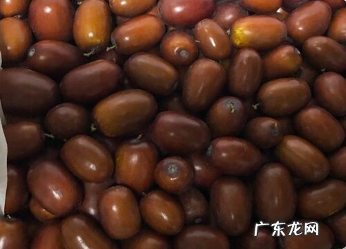 枣子可以放多久不坏