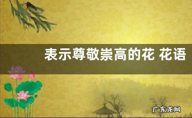 表示尊敬崇高的花 花语是尊敬崇高的花
