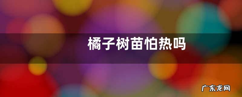 橘子树苗怕热吗
