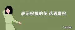 表示祝福的花 花语是祝福的花