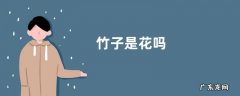 竹子是花吗