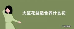 大缸花盆适合养什么花