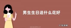 男生生日送什么花好