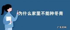 为什么家里不能种冬青 冬青适合在家里种吗