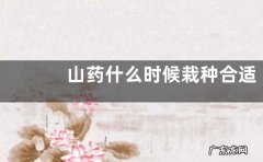 山药什么时候栽种合适