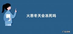 火葱冬天会冻死吗