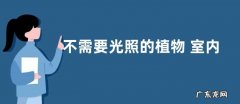 不需要光照的植物 室内无阳光养什么绿植最合适