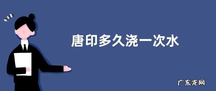 唐印多久浇一次水