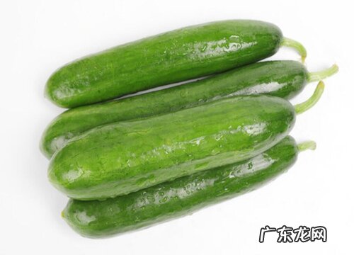 青瓜是水果还是蔬菜