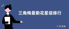 三角梅最勤花星级排行 哪些三角梅品种是勤花又好看