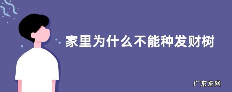 家里为什么不能种发财树 家中放发财树的禁忌
