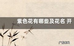 紫色花有哪些及花名 开紫色花的花卉品种名称及图片