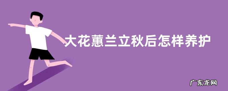 大花蕙兰立秋后怎样养护 大花蕙兰秋冬季施肥和注意事项