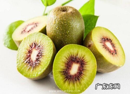 猕猴桃几月份移栽成活率高 猕猴桃栽植最佳时间