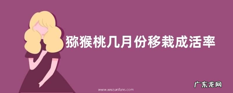猕猴桃几月份移栽成活率高 猕猴桃栽植最佳时间