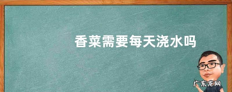 香菜需要每天浇水吗