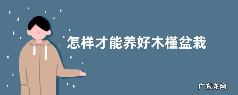 怎样才能养好木槿盆栽 木槿家庭养殖方法和注意事项