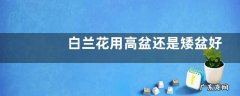 白兰花用高盆还是矮盆好 用什么花盆种比较好