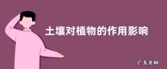 土壤对植物的作用影响 土壤对植物营养的重要性