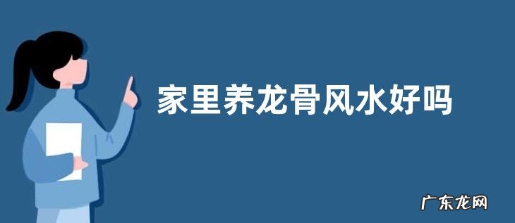 家里养龙骨风水好吗