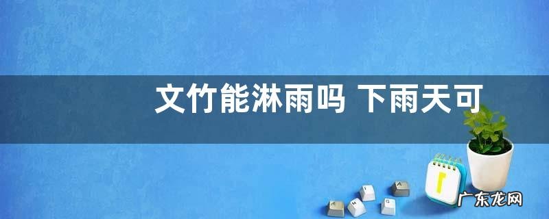 文竹能淋雨吗 下雨天可以淋雨吗