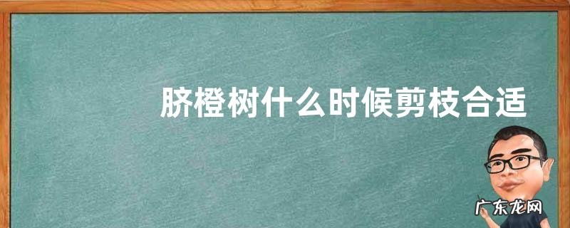 脐橙树什么时候剪枝合适