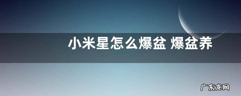 小米星怎么爆盆 爆盆养殖方法