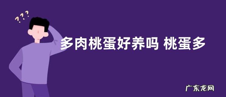 多肉桃蛋好养吗 桃蛋多肉的养殖方法