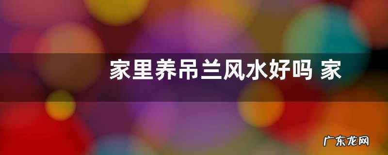 家里养吊兰风水好吗 家中养吊兰吉不吉利