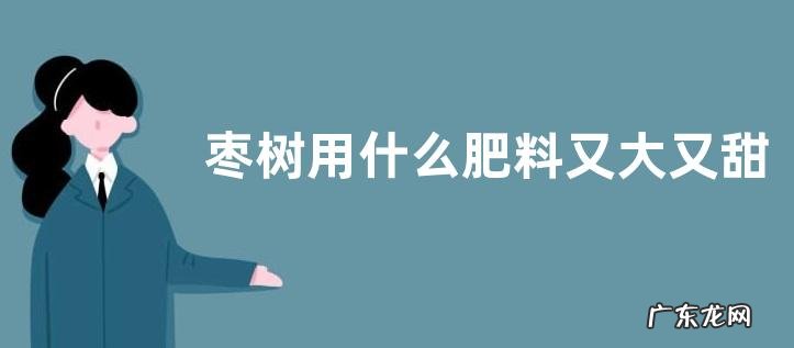 枣树用什么肥料又大又甜 枣树苗上什么肥长得快结果多