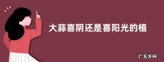 大蒜喜阴还是喜阳光的植物